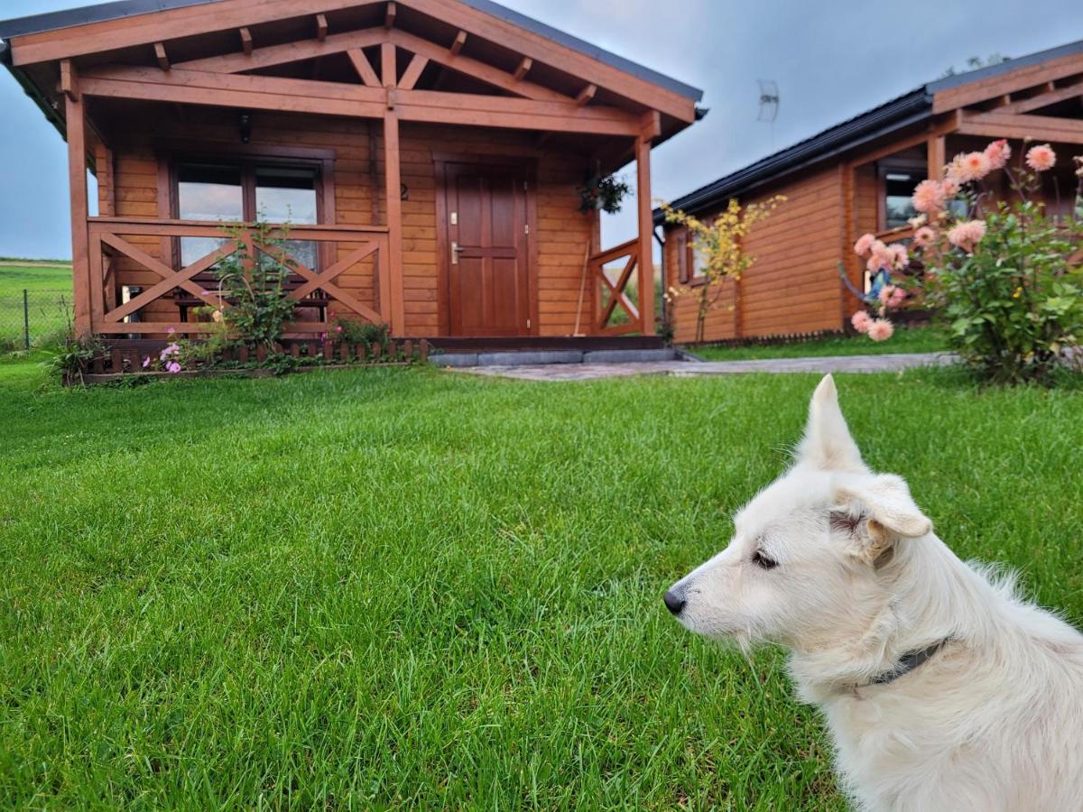Domki pod lasem Villa Rokiciny Podhalanskie Exterior foto