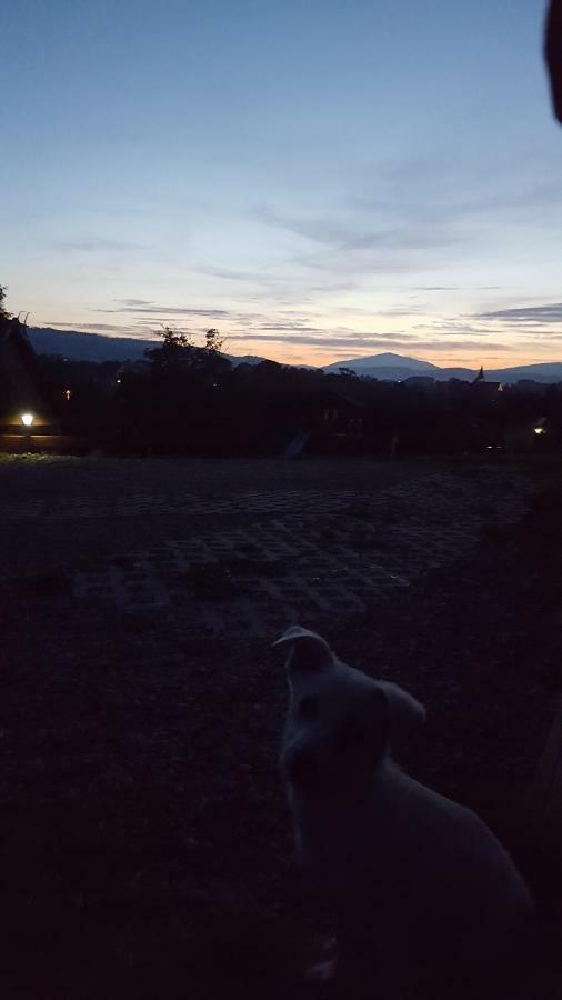 Domki pod lasem Villa Rokiciny Podhalanskie Exterior foto