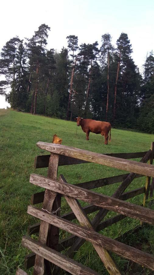 Domki pod lasem Villa Rokiciny Podhalanskie Exterior foto
